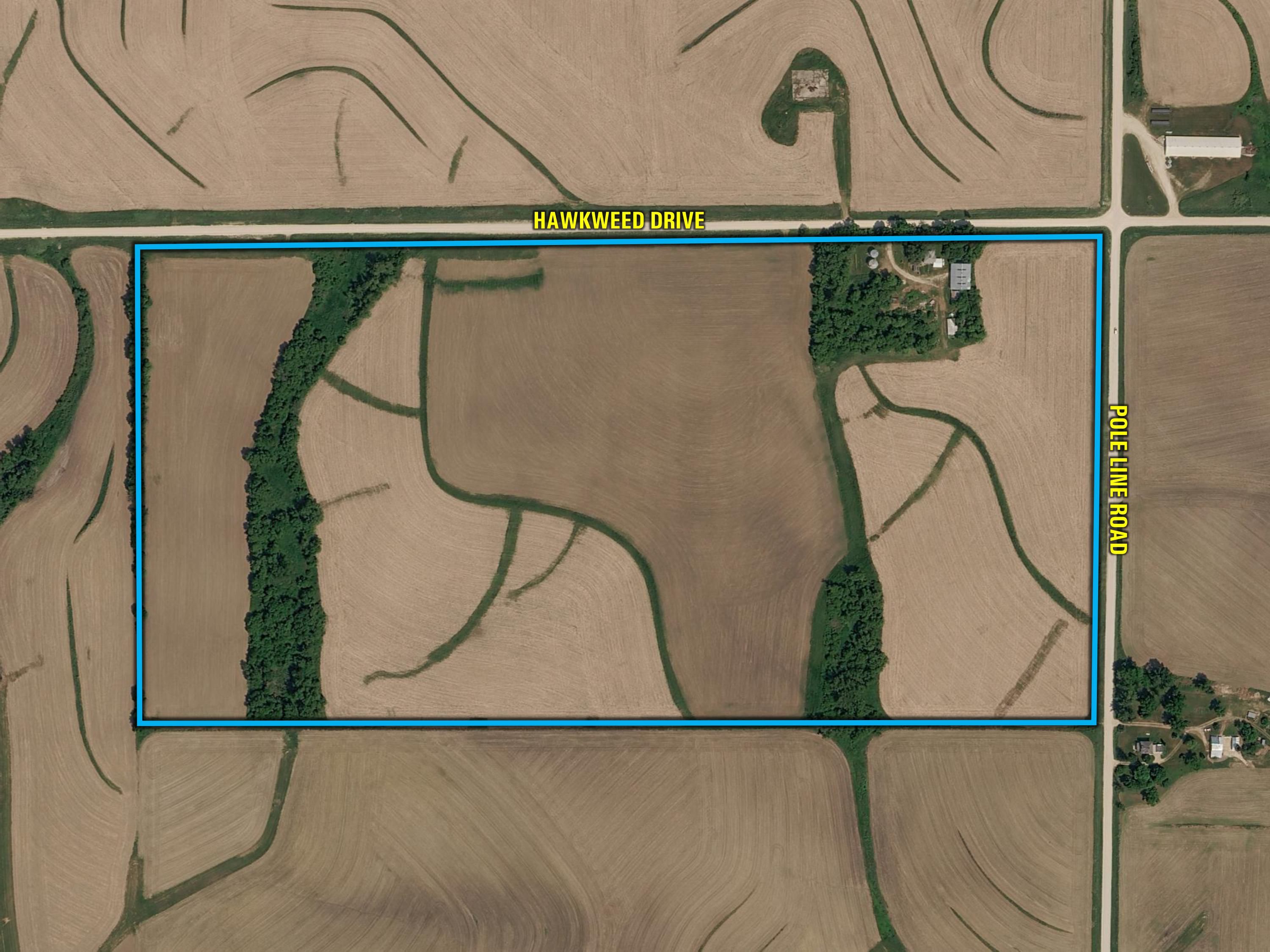 Listing Photo: Pole-Line-Road-Hawkweed-Drive-Auction-Postville-IA